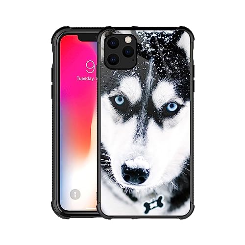 Husky Dog Muzzle Blue Eye