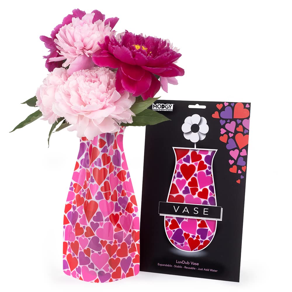 MODGY Expandable Flower Vase - Modern Plastic Decorative Vase for Fresh & Artificial Flowers - Perfect for Dining Table Centerpieces, Living Room, Bathroom, Wedding & Office Decor - LuvDub