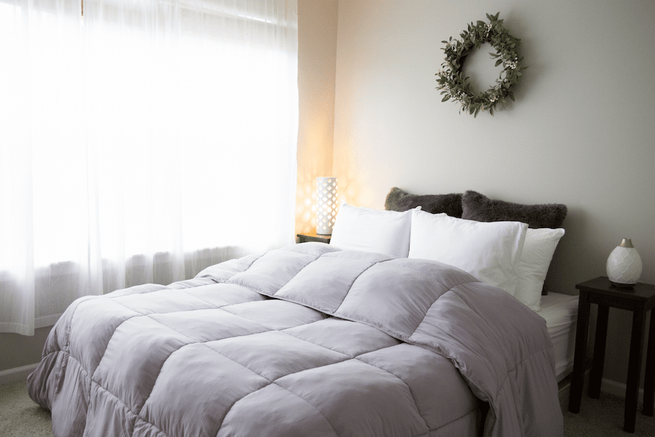 Pillowtex Essential Bedding Set - All Season Comforter with Matching Pillowcases | Soft & Breathable for Year-Round Comfort | Perfect for Master Bedroom, Guest Room & Dormitory