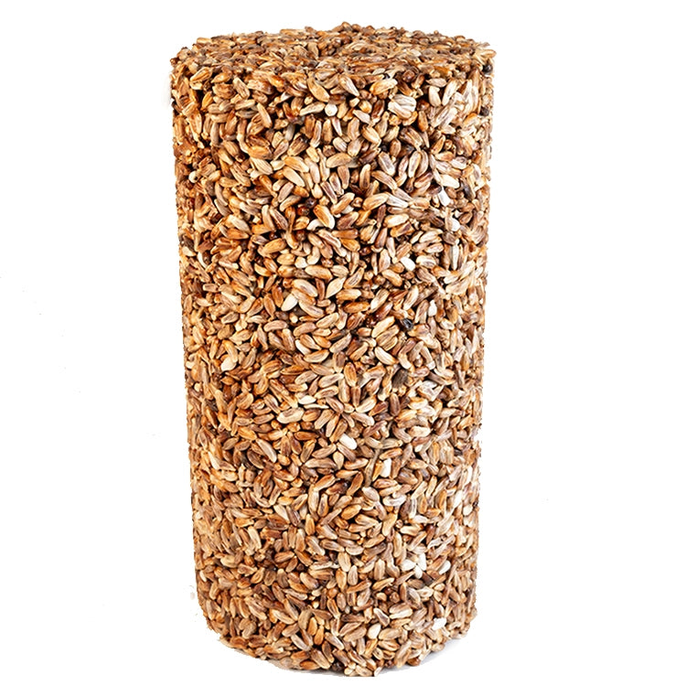 Premium Safflower Seed Cylinder for Birds - Small Size, High-Quality Wild Bird Food - Perfect for Backyard Feeders & Attracting Cardinals, Finches & Woodpeckers