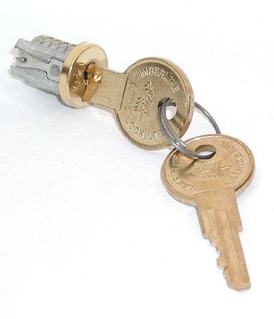 Timberline Lock Plug Brass Keyed Alike Key Number 105 (25 Pack) - Secure Cabinets, Mailboxes & Storage Units with Durable Brass Keys