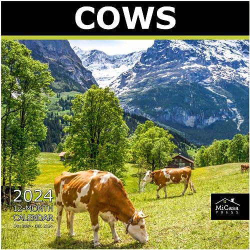 10 - Cows