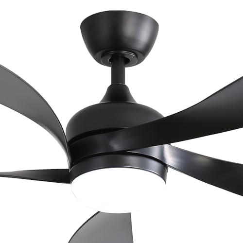 1-Black Blades& Black Body