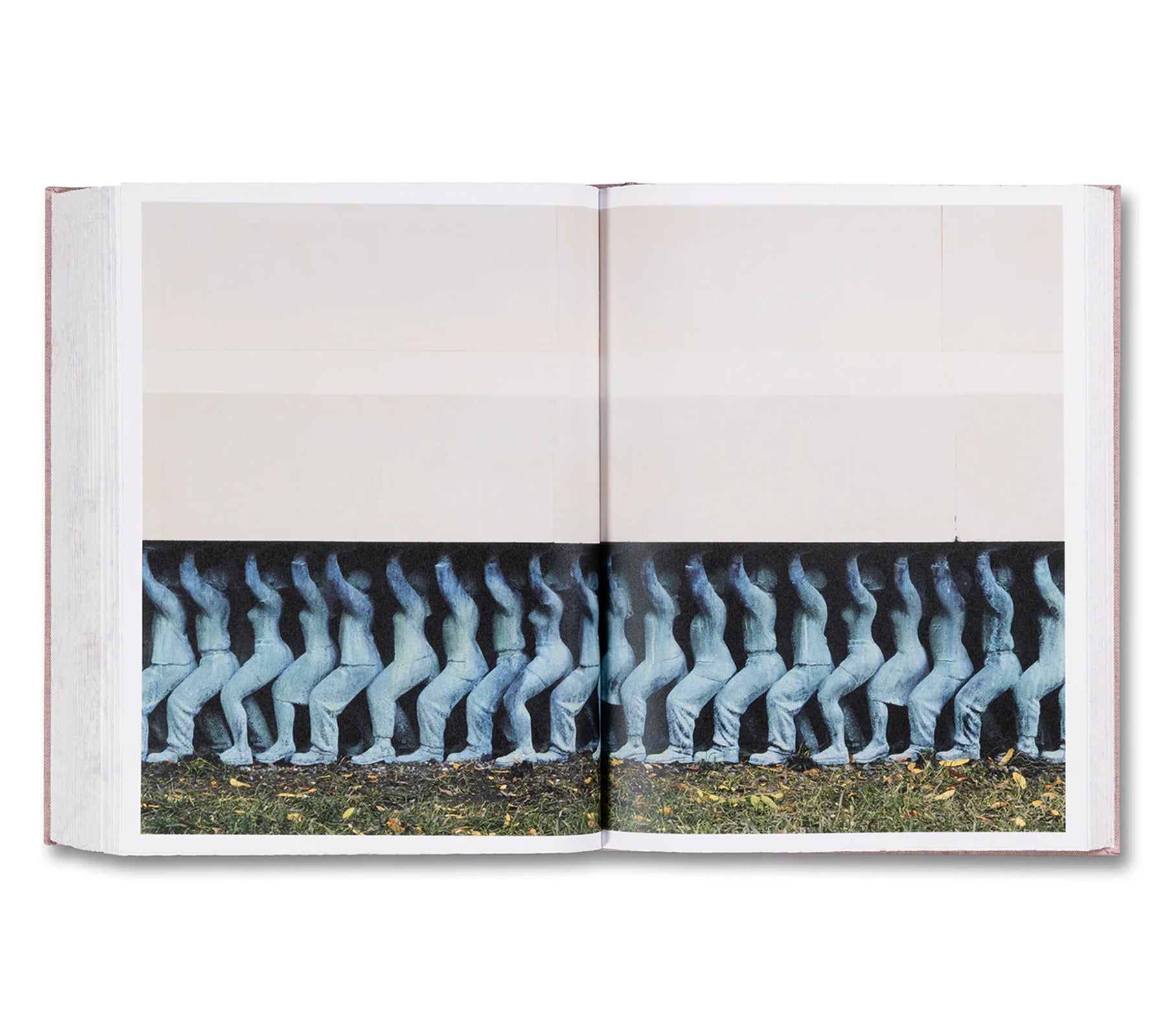 ANATOMY by Do Ho Suh - Signed Limited Edition Art Book | Contemporary Art Collection for Home Decor & Office Display