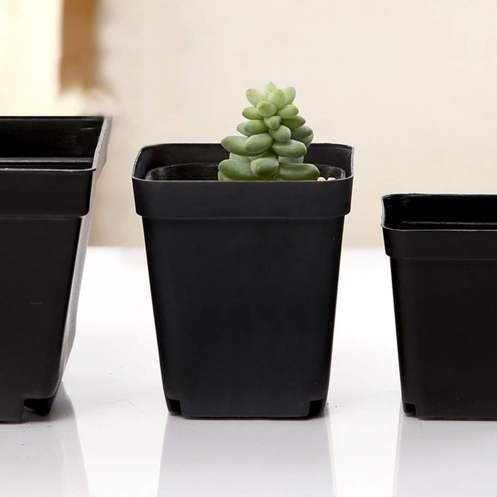 Yardwe 50PCS Black Square Plastic Nursery Pots - 3x3x2.7 Inch Small Plant Starter Pots for Seedlings, Flowers, Herbs & Transplanting | Perfect for Indoor Gardening, Greenhouses & Home Plant Propagation
