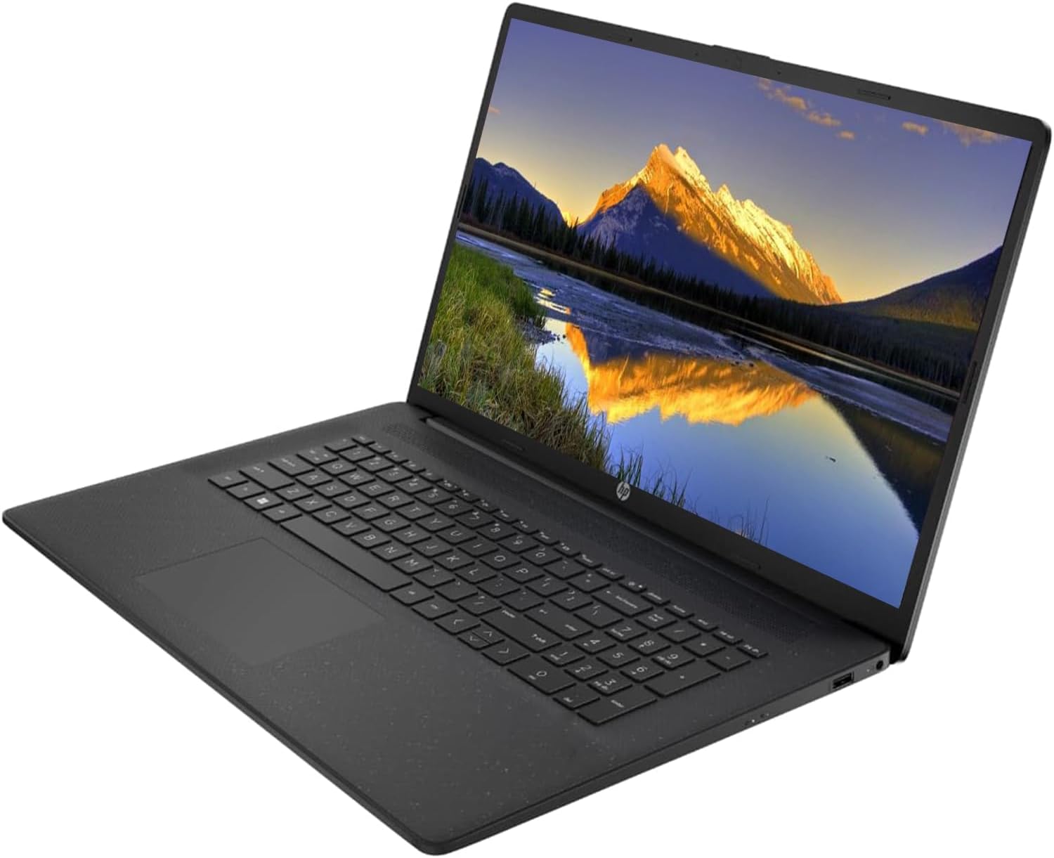 HP Essential Daily Traditional Laptop 17.3