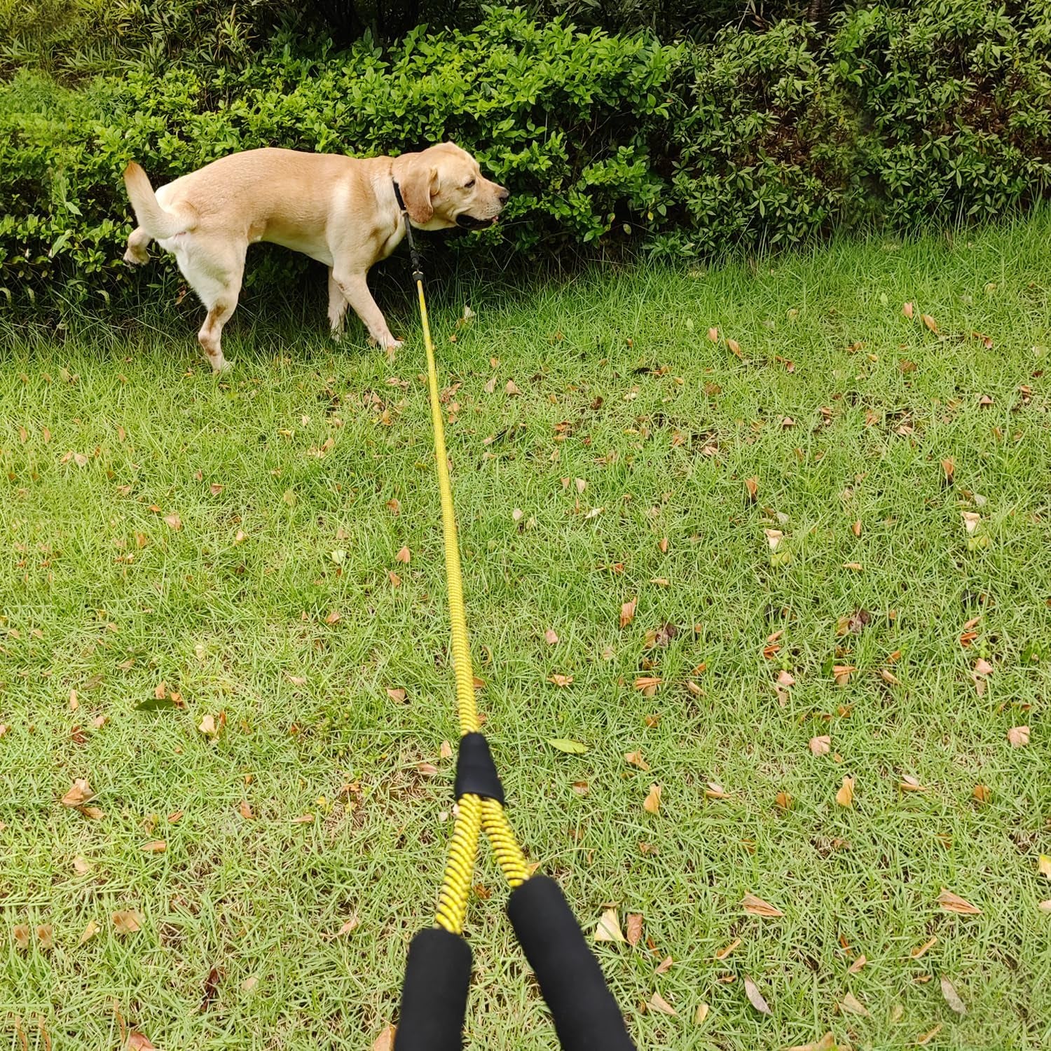 6ft Heavy Duty Rope Dog Leash with Soft Padded Handle - Durable Reflective Pet Walking Lead for Large Dogs, Outdoor Adventures & Nighttime Safety