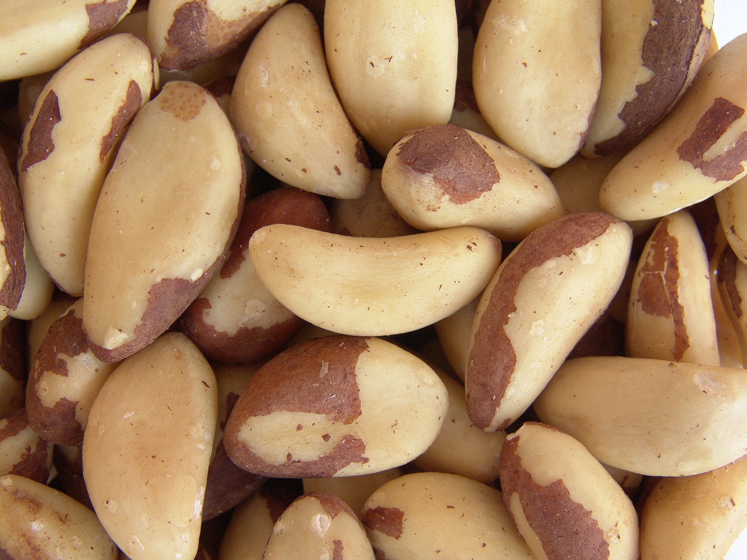 Premium Brazil Nuts by Its Delish - 5 lbs Bulk, Raw & Unsalted, High in Selenium & Healthy Fats - Perfect for Snacking, Baking & Gift Giving