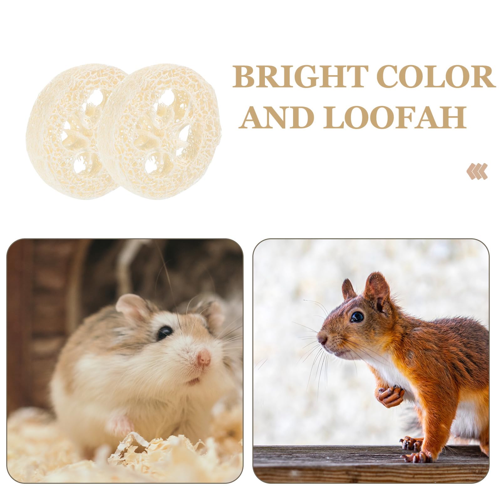 Natural Loofah Chew Toys for Small Pets - Hamster, Rabbit, Chinchilla, Guinea Pig & Bird Chewing Toy - Safe Cage Shredder & Enrichment Activity for Rabbits, Parrots & Rodents (Random Color) - Perfect for Cage Play, Teeth Trimming & Stress Relief