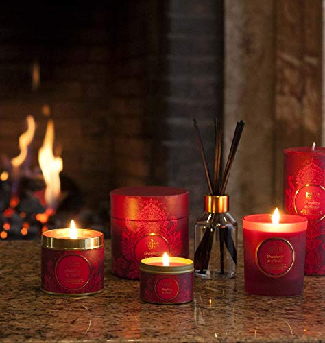 Premium Cranberry & Ginger Scented Tin Candle - Large Red Aromatherapy Candle (7.5 x 7.5 x 7.2 cm) for Home Decor, Relaxation & Holiday Gifts