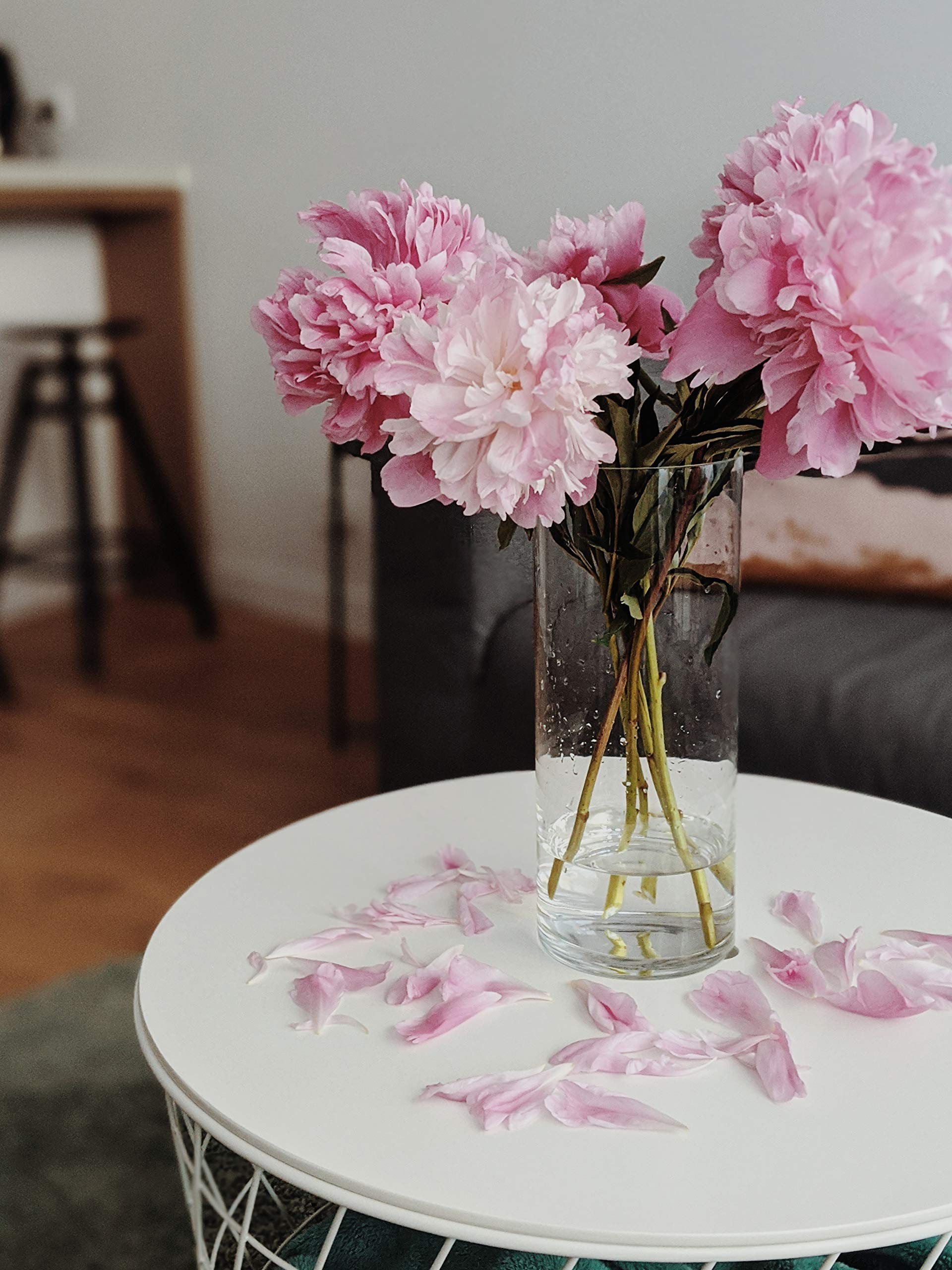 Premium Weighted Clear Glass Cylinder Vases - 4