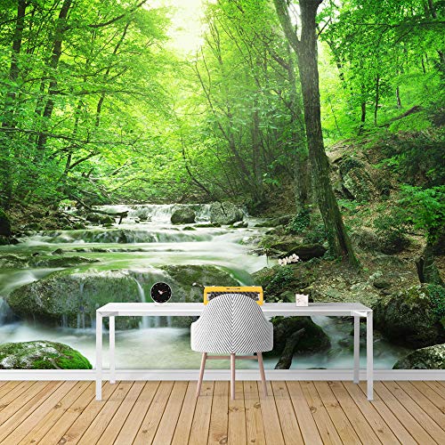 Forest1-1911-m06