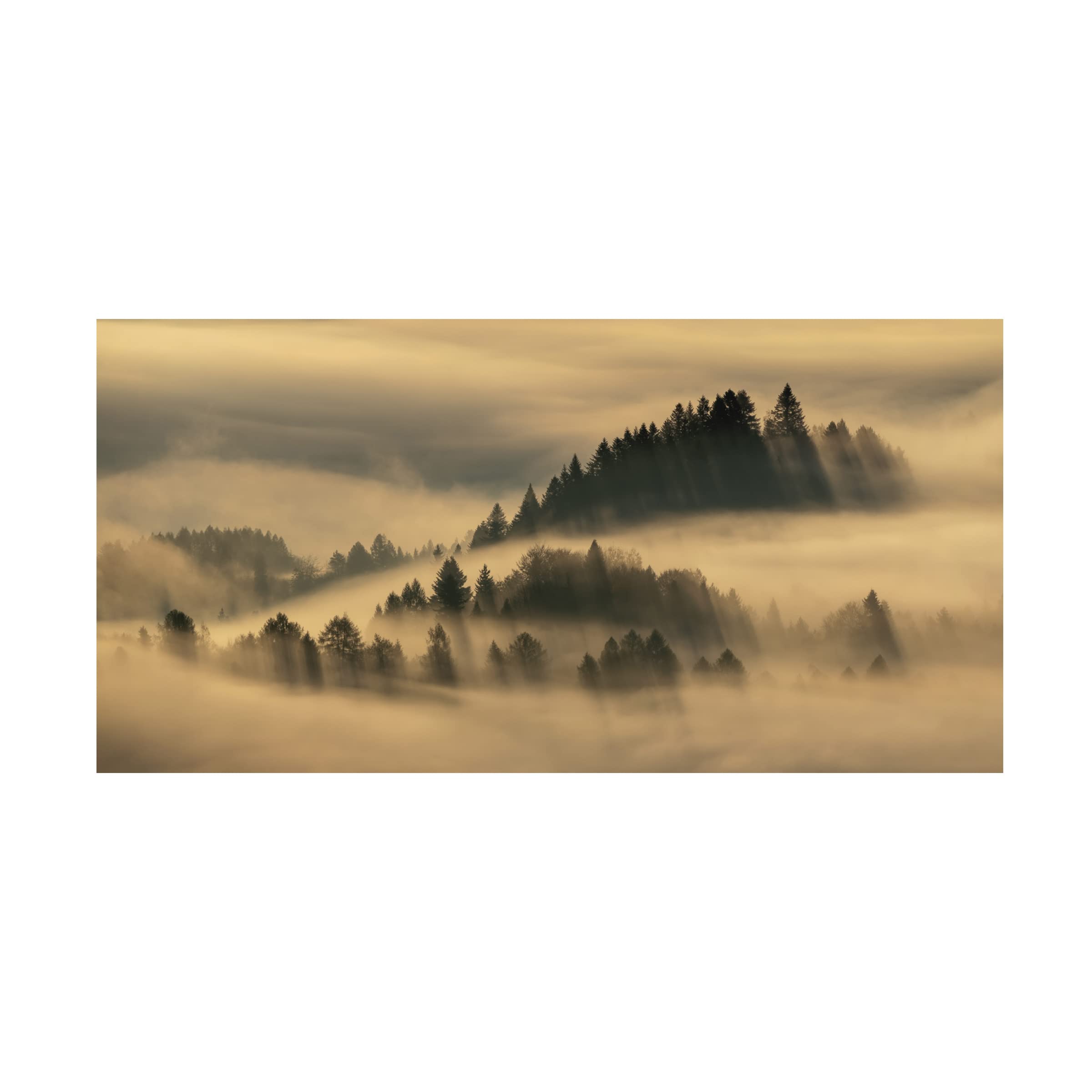 Trademark Fine Art 'Pieniny Foggy' Canvas Wall Art Print by Wojciech Kruczynski - Landscape Painting for Living Room, Bedroom & Office Decor
