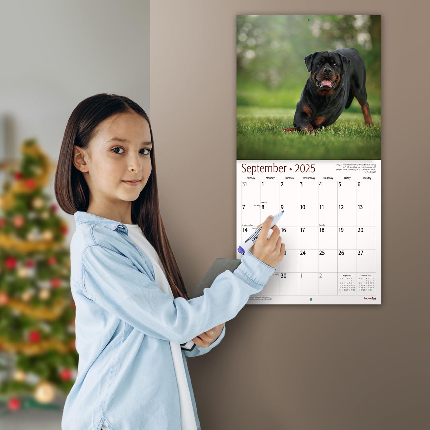 MICASA PRESS - 2025 Rottweiler Wall Calendar | 12