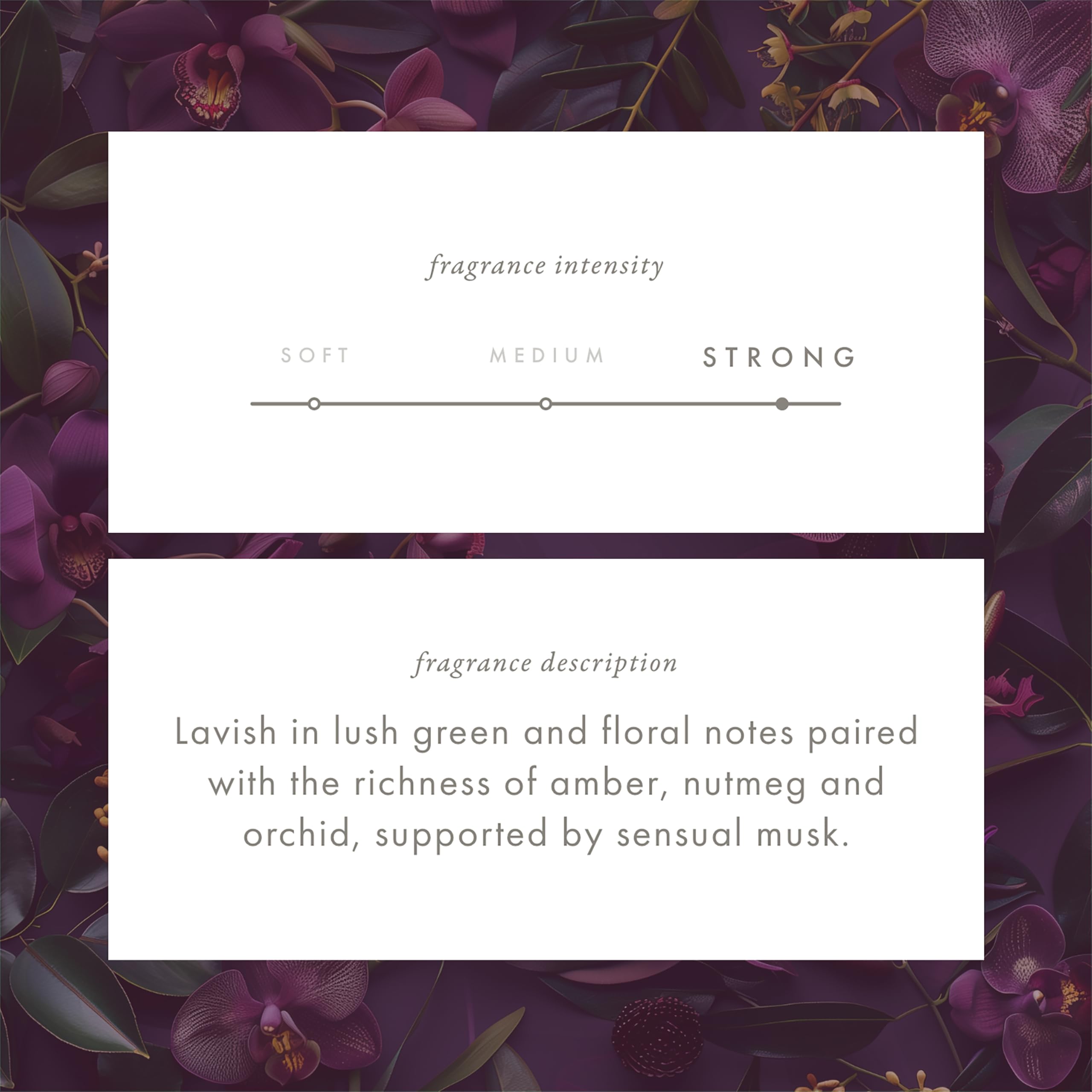 Whisper Home Black Orchid Scented Fragrance Cartridge - Monthly Refill for Home Aromatherapy & Relaxation