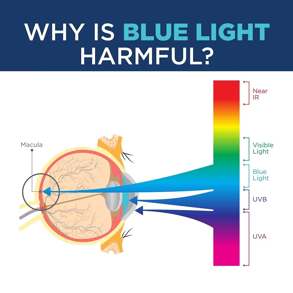 Willochra Blue Light Blocking Reading Glasses for Women - Lightweight Round Frames for Work & Screen Time