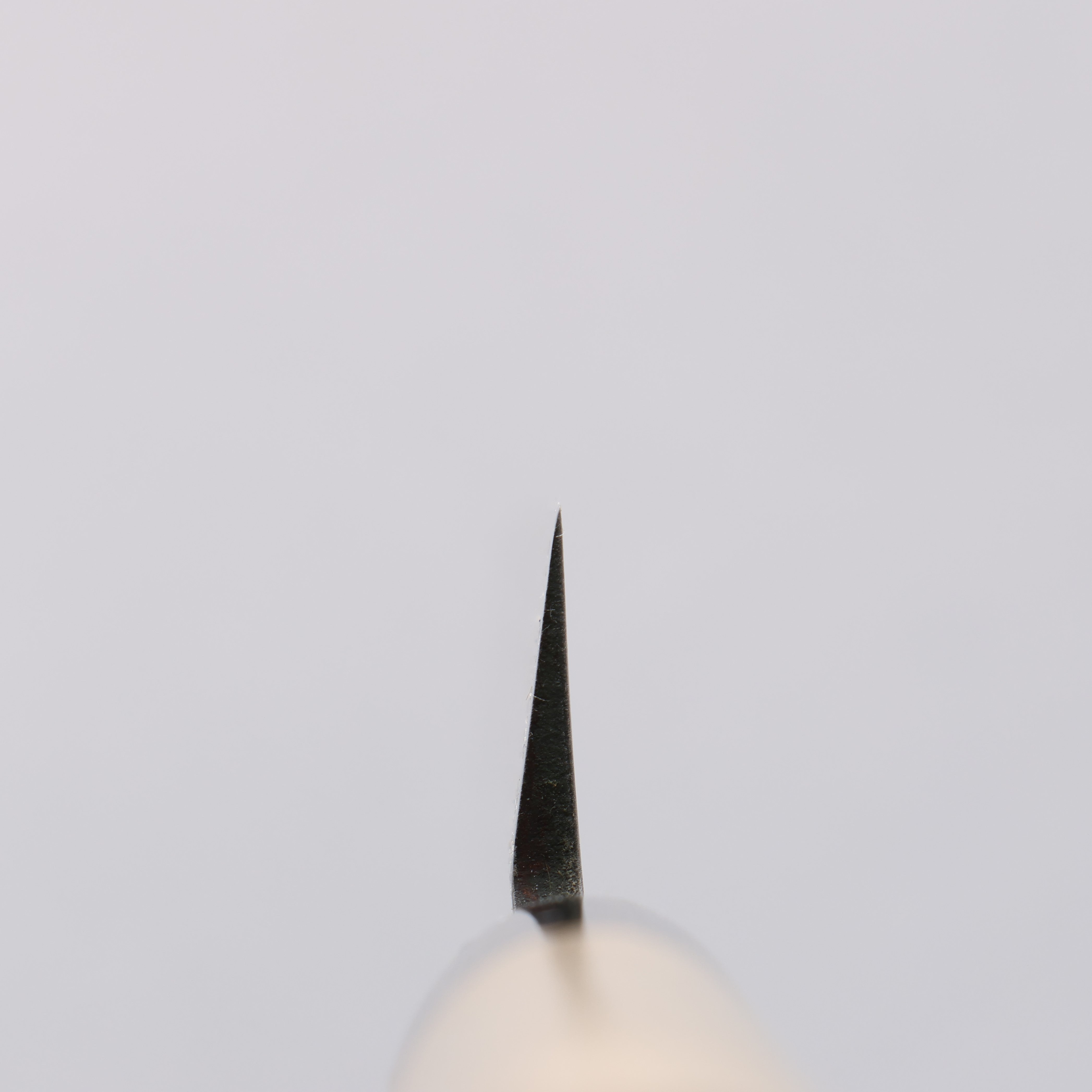 Premium Seisuke Molybdenum Yanagiba Sushi Knife - 10.5