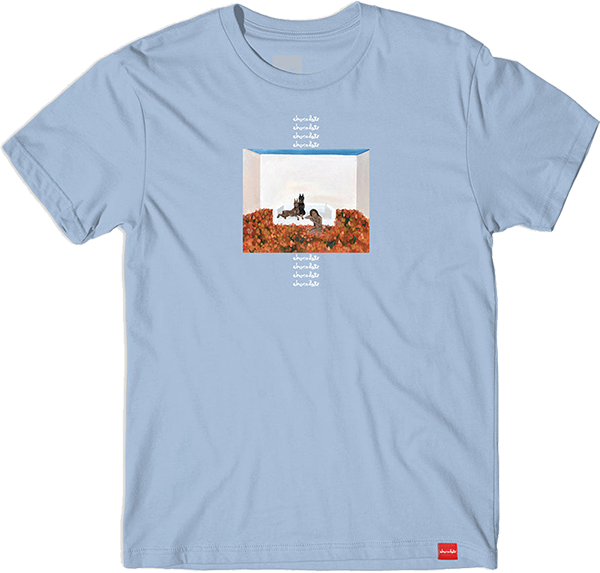 Chocolate Doberman Graphic T-Shirt for Men & Women - Small Size in Light Blue | Casual Wear, Dog Lover Apparel, Pet Owner Gift