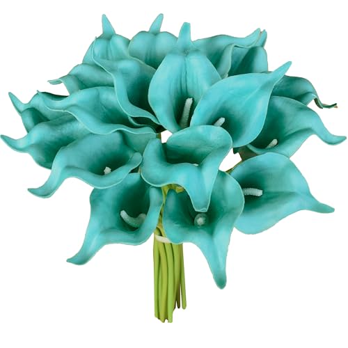 Teal