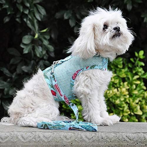 **Cool Mesh Dog Harness for Medium Dogs – Breathable Step-in Design with Leash Attachment – Perfect for Walking, Hiking & Beach Adventures**