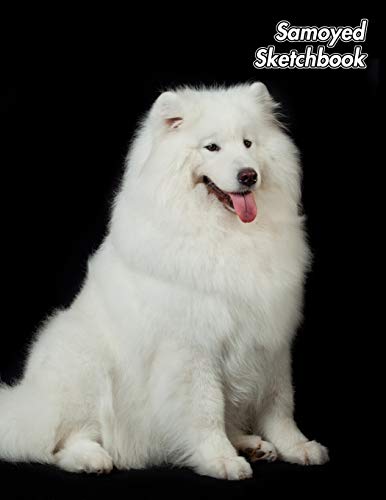 Samoyed Sketchbook - 150 Blank Unlined Pages 8.5