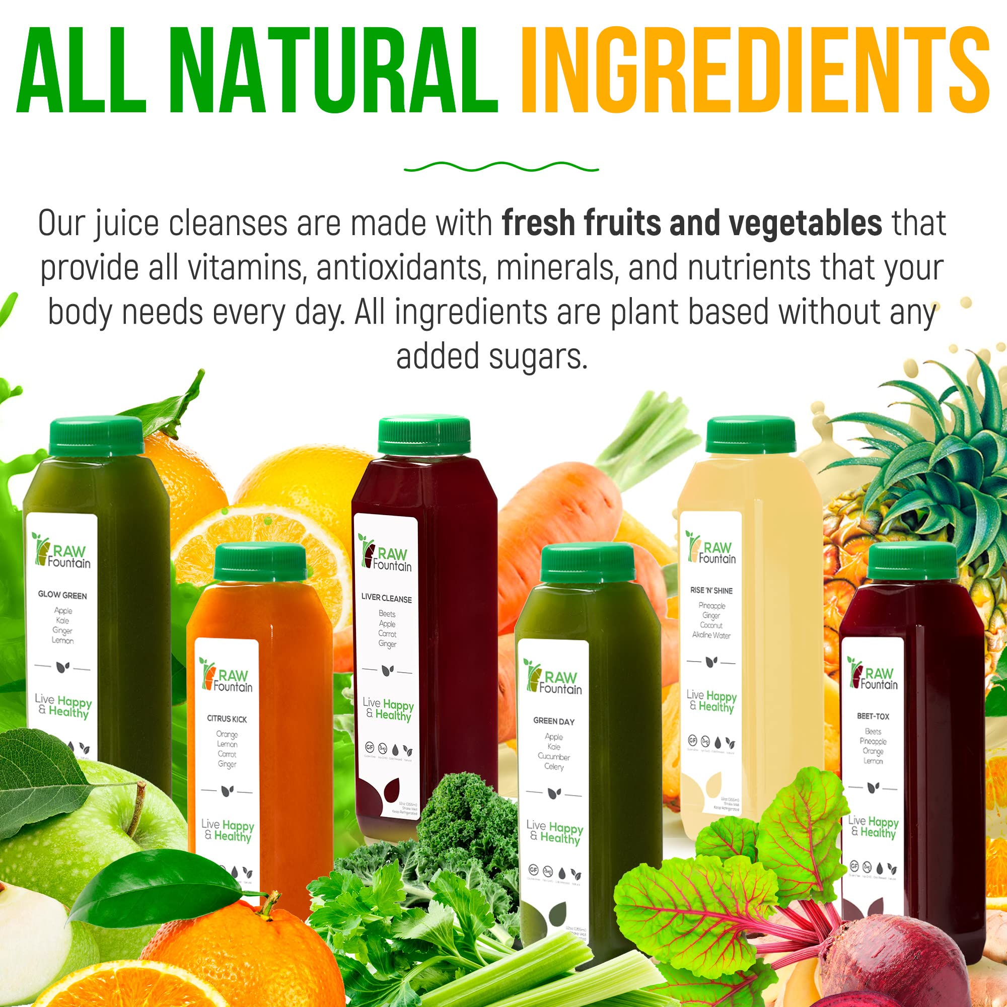 Raw Fountain 3-Day Juice Cleanse Detox - All Natural Cold Pressed Juices for Body Reset & Healthy Diet Jumpstart (18 Bottles 12oz + 3 Ginger Shots) | Perfect for Post-Holiday Detox, Weight Management & Energy Boost