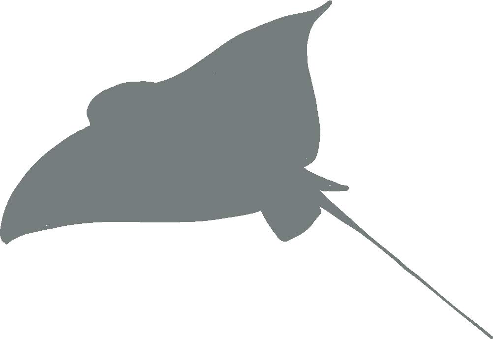Premium Stingray Vinyl Decal 5 Inches - Waterproof Car Decals, Laptop Stickers, Truck Window Graphics - Durable 2.5mil Outdoor Vinyl - Gray Shark Sticker for Cars, Boats, Helmets & DIY Projects