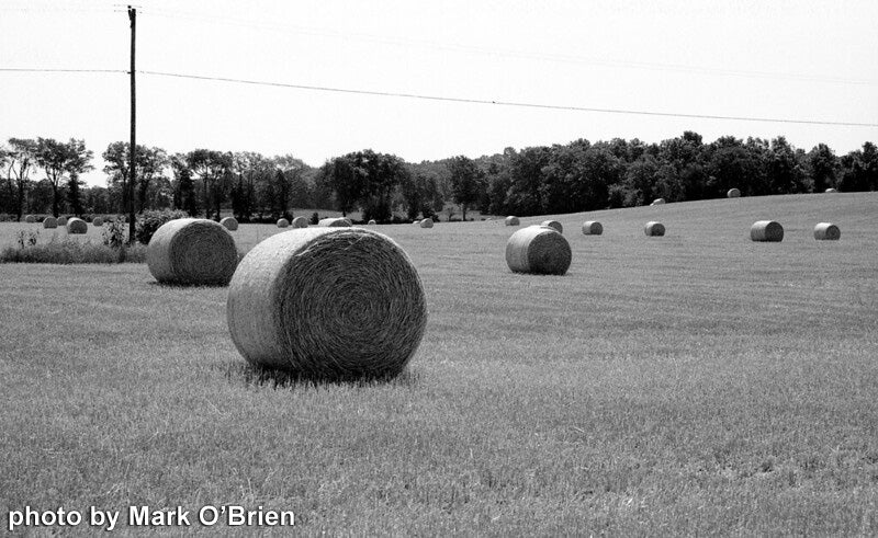 35mm Black and White Film - Jekyll/Hyde ISO 100 (1 Roll) - Perfect for Street Photography & Vintage Camera Enthusiasts