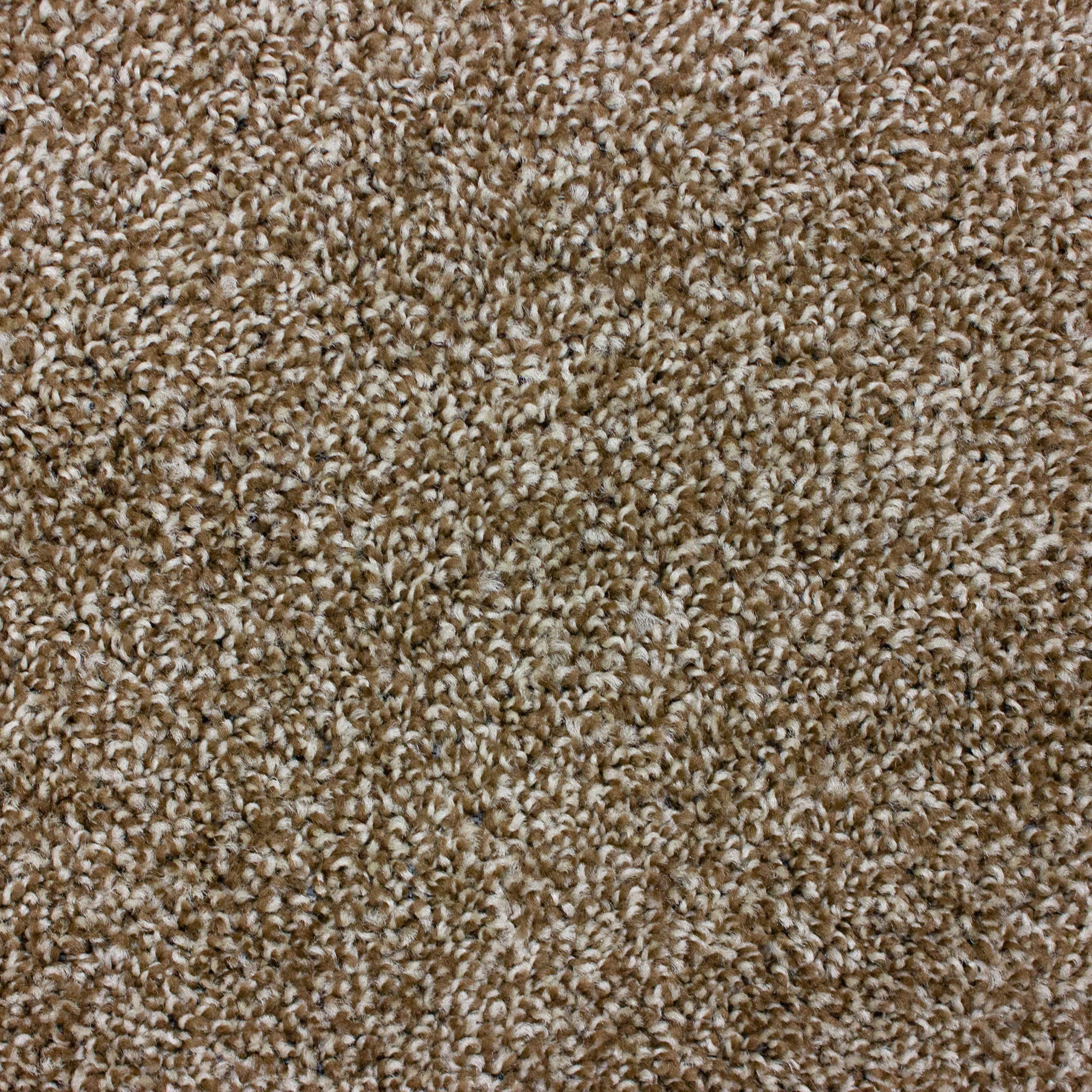 Koeckritz Chocolate Chip 5x8 Area Rug - Soft Non-Slip Carpet for Living Room, Bedroom, Dining Area - Multiple Sizes & Shapes Available - Perfect for Home Decor & Cozy Spaces