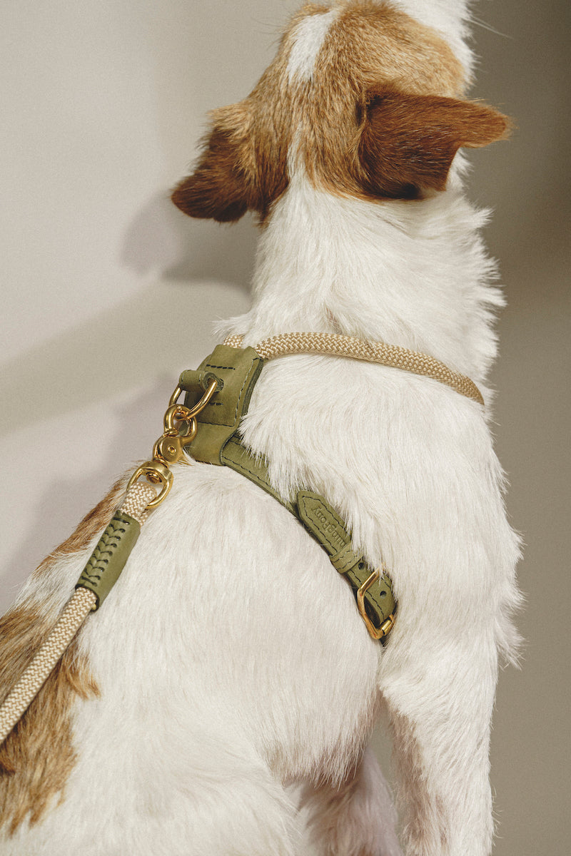 Premium Green Lightweight Rope Pony Harness for Equestrian Training & Trail Riding | Durable Makarony Design for Comfort & Control