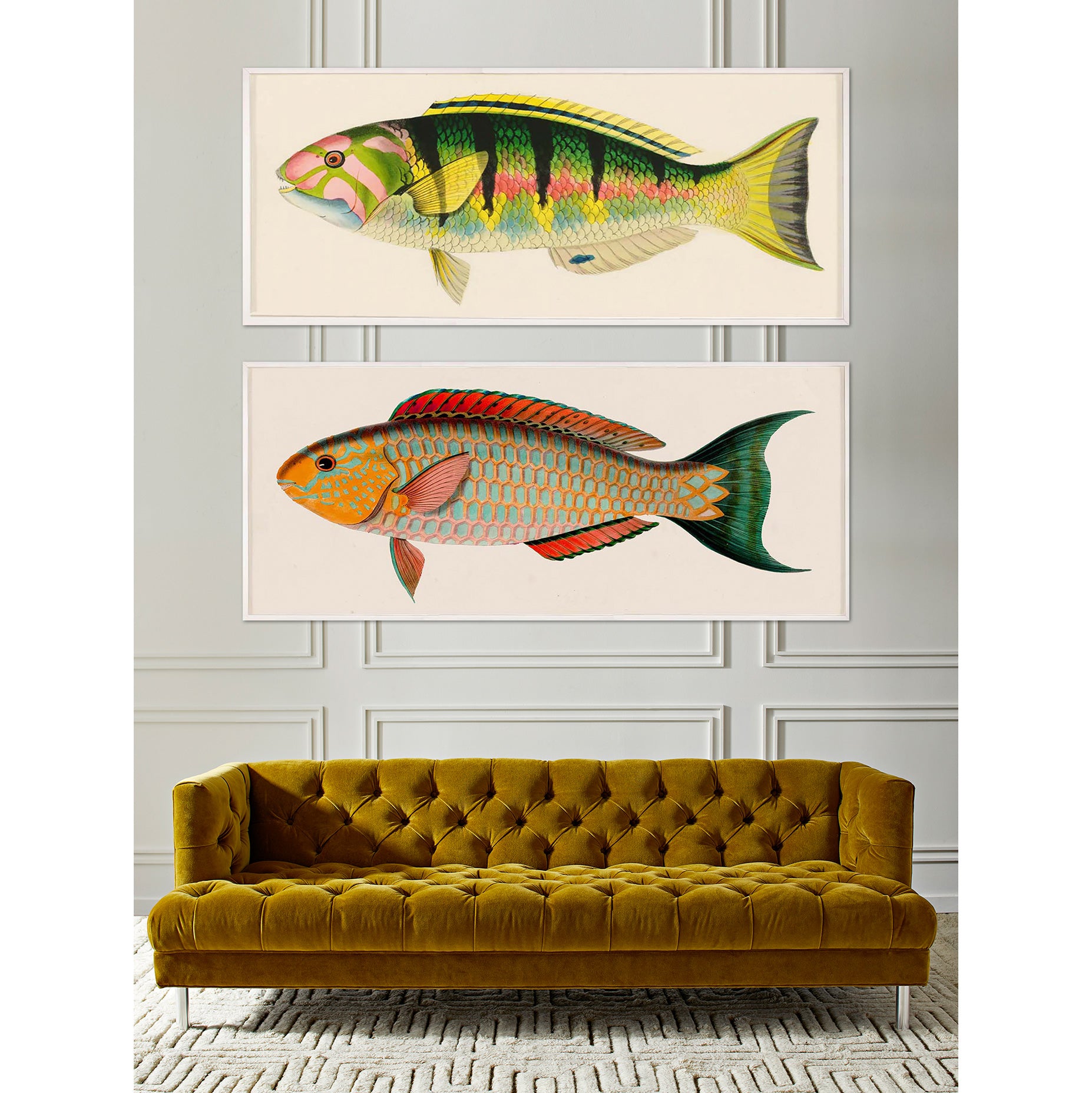 Bennett Fish 1 - Premium Freshwater Aquarium Fish for Home & Office Tanks - Perfect for Beginners, Community Tanks, and Aquatic Decorations