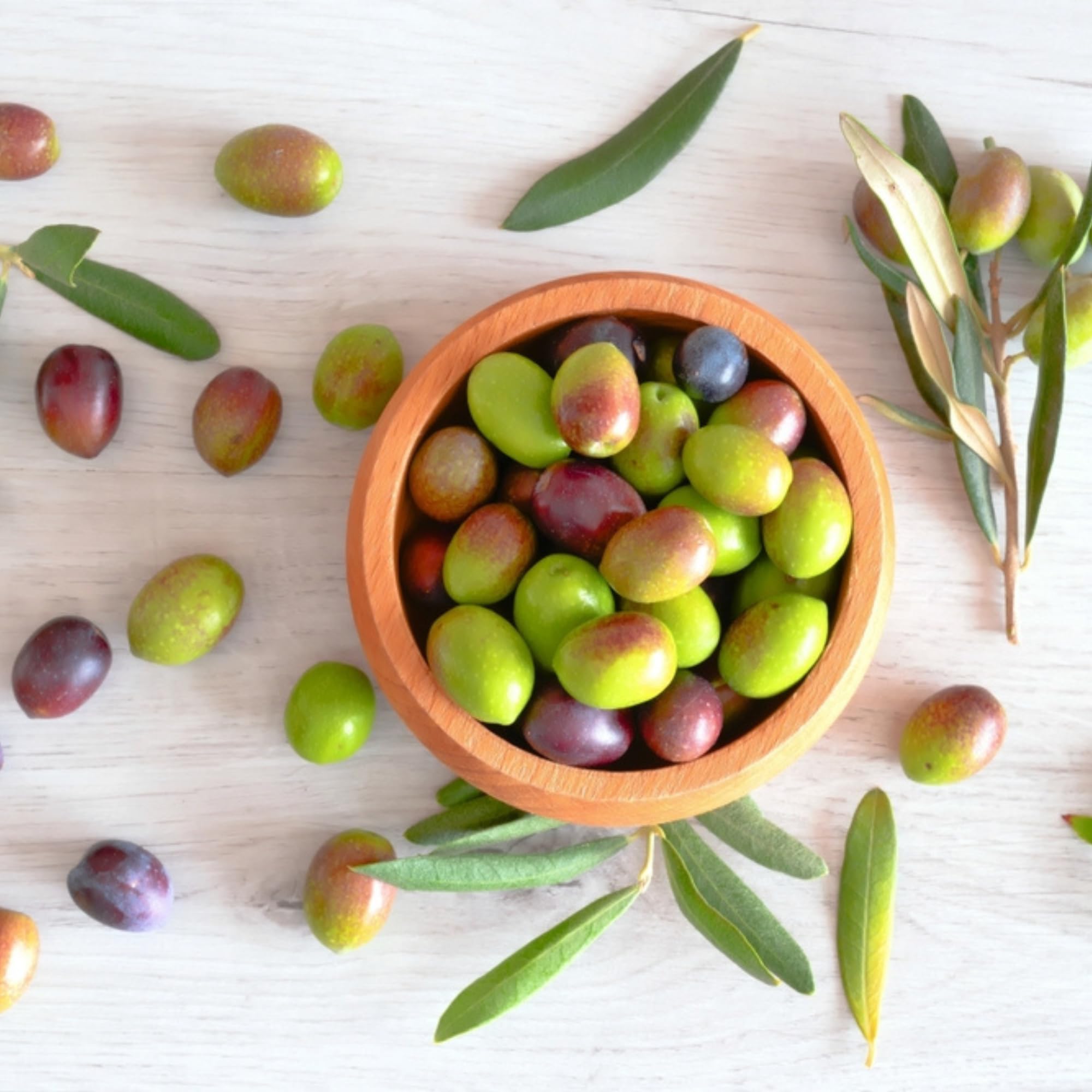 Sanniti Italian Country Mix Olives - Premium Gourmet Olives in Brine, 20.5 oz Jar - Perfect for Charcuterie Boards, Salads & Mediterranean Recipes