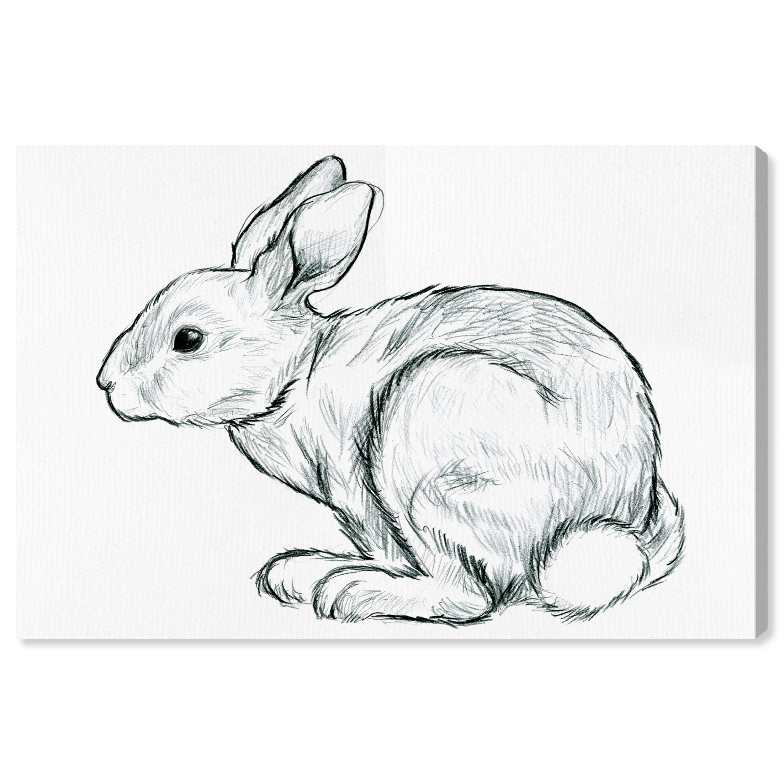Sketchy Hare Wall Art Canvas Print - 45