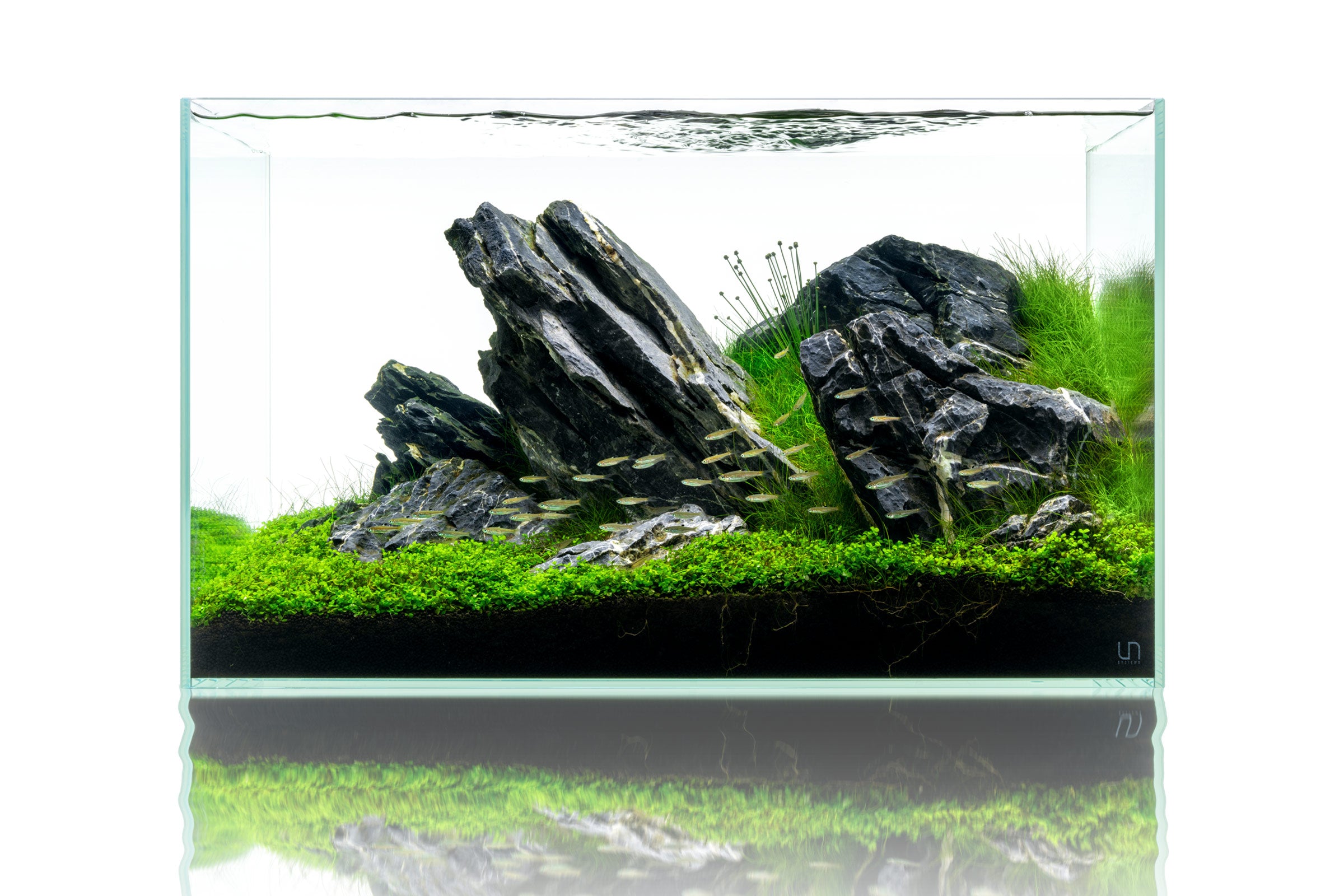 Premium UNS Rimless Standard Glass Aquarium Tank - Crystal Clear View for Nano Fish Tanks, Planted Aquascapes & Home/Office Decor