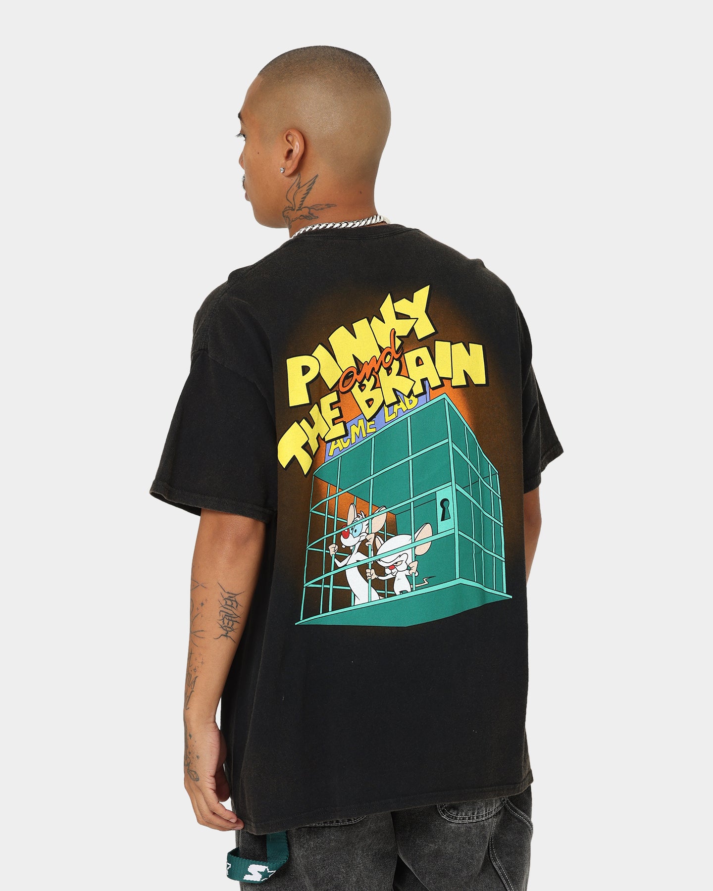 Vintage Pinky And The Brain Graphic T-Shirt - Black Wash Distressed Style - Retro Cartoon Tee for Men & Women - Perfect for Casual Wear, Cosplay, and 90s Nostalgia Fans