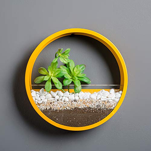 Ecosides Metal Wall Mounted Planter - 12