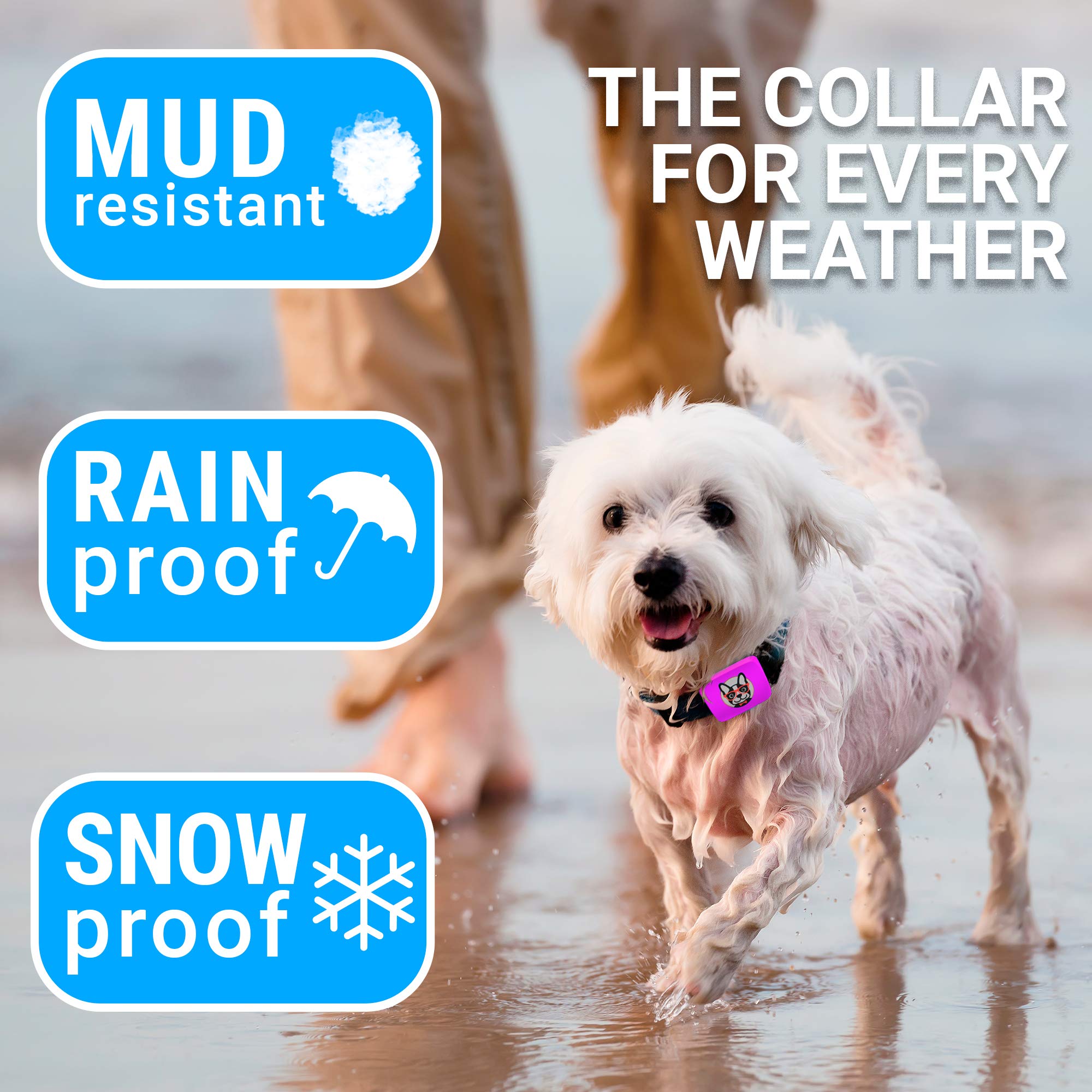 Rechargeable Small Dog Bark Collar for Dogs 5-15lbs - Humane No Shock Anti-Barking Training Collar - Lightweight Pet Bark Control Device (Pink) - Perfect for Indoor Use, Apartment Living & Noise-Sensitive Environments