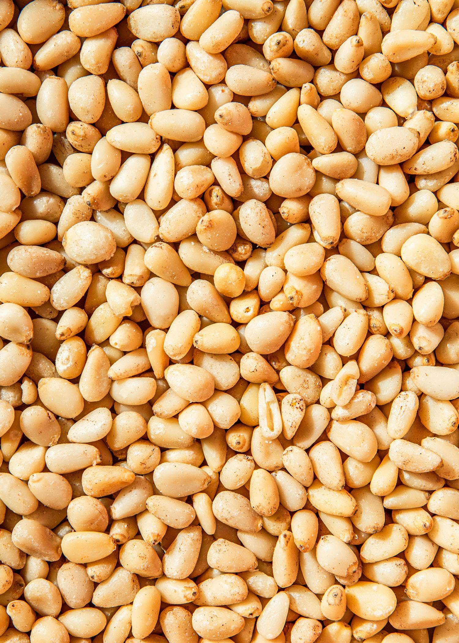 Organic Pine Nuts 100g by KoRo - Creamy Soft Raw Pine Kernels - No Preservatives, Non-GMO, Gluten-Free - Perfect for Pesto, Salads & Baking - USDA Certified Organic