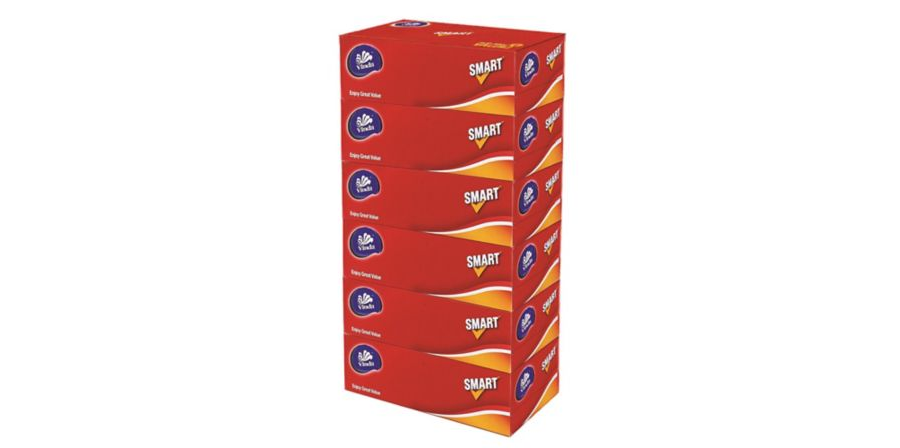 Vinda Smart Pack Facial Tissue, 2-Ply, 6-Pack | Soft & Strong for Home, Office & Travel | Hypoallergenic & Gentle on Skin