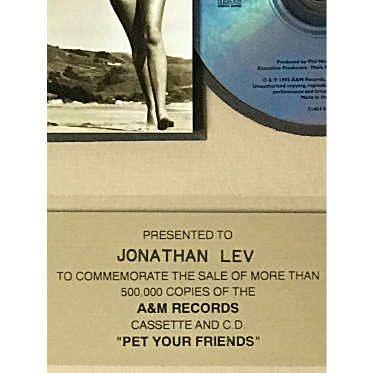 Dishwalla Pet Your Friends A&M Label Award-Winning Music Album - Perfect for Home Listening, Road Trips & Gift Giving
