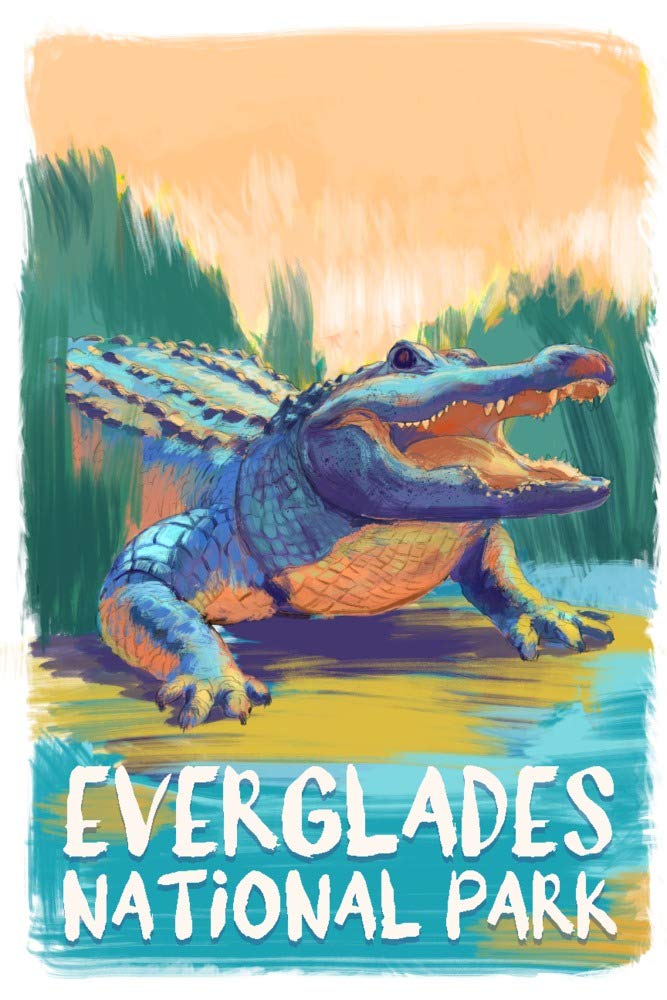 Signed Everglades National Park Alligator Art Print - 24x36 Vivid Wall Decor Poster for Living Room, Office & Home Decor | Florida Wildlife Photography