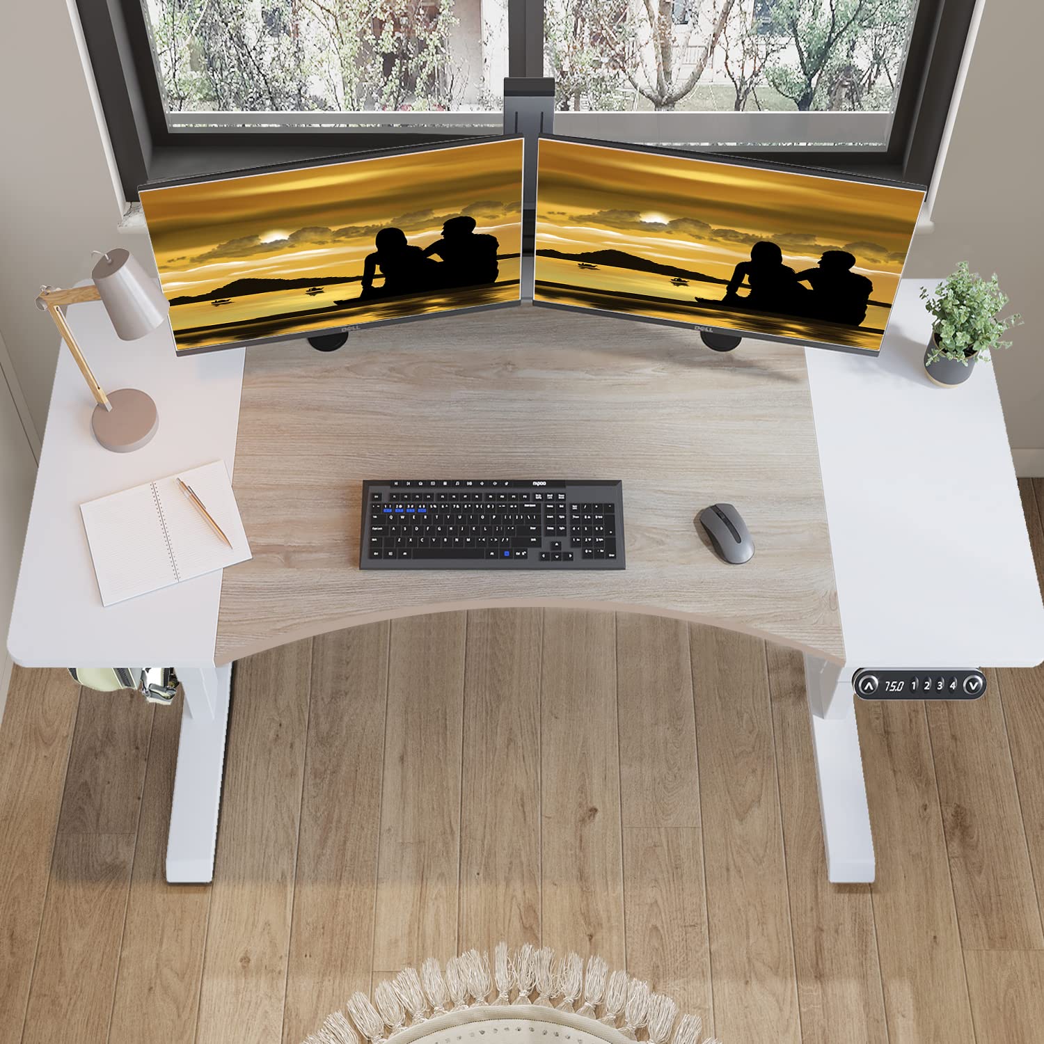 Dual Motor Electric Standing Desk - 63 x 30 Inch Adjustable Height Sit Stand Computer Desk with Splice Board, White Frame/Oak & White Top (Radian) - Perfect for Home Office, Gaming & Workspace Ergonomics