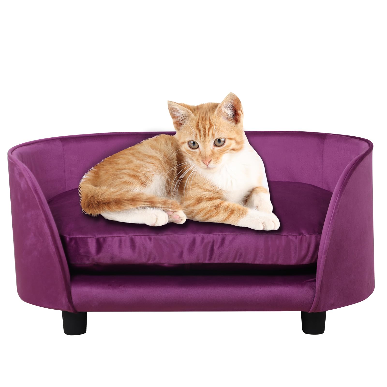 Premium Pet Sofa Bed for Small Dogs & Cats - Washable Velvet Cushion with Wooden Frame - Cozy Pet Couch for Puppies, Kittens & Small Pets (Purple) - Perfect for Living Room, Bedroom & Pet Napping Spaces