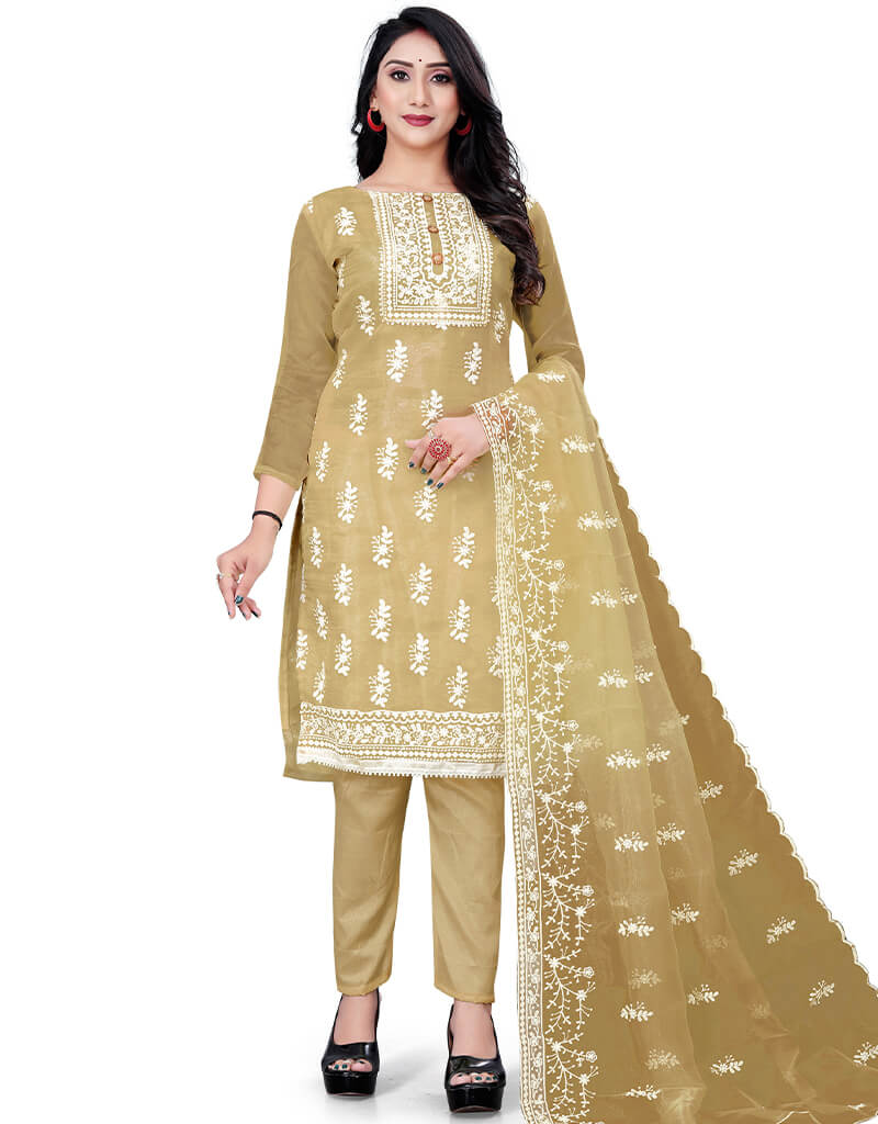 Elegant Beige Organza Pant Salwar Suit for Women - Traditional Indian Ethnic Wear for Weddings, Festivals & Special Occasions