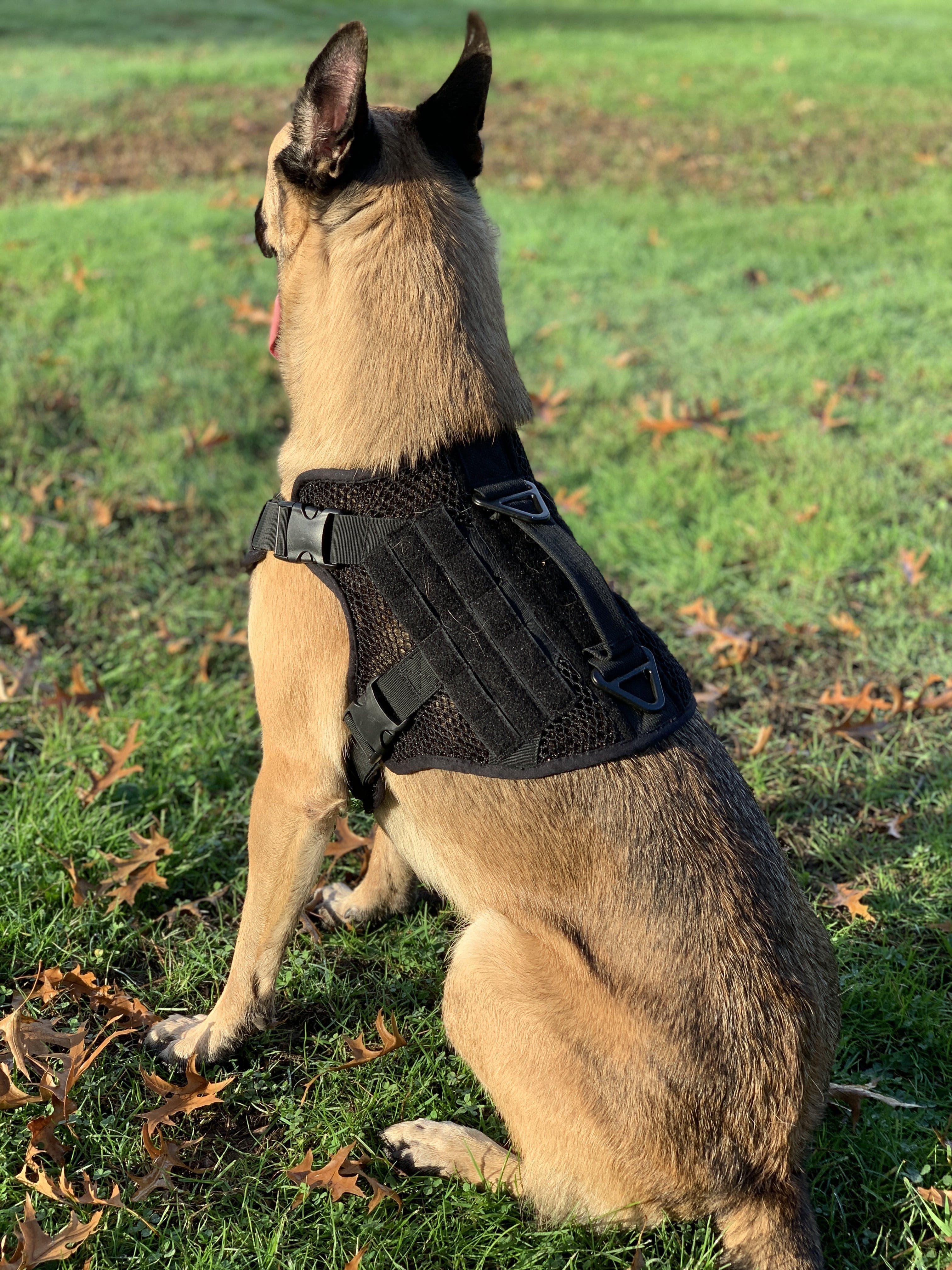 Artemis No Pull Dog Harness - Adjustable, Breathable, No Tug No Choke Pet Vest for Small Medium Large Dogs - Perfect for Walking, Running, Hiking & Outdoor Adventures