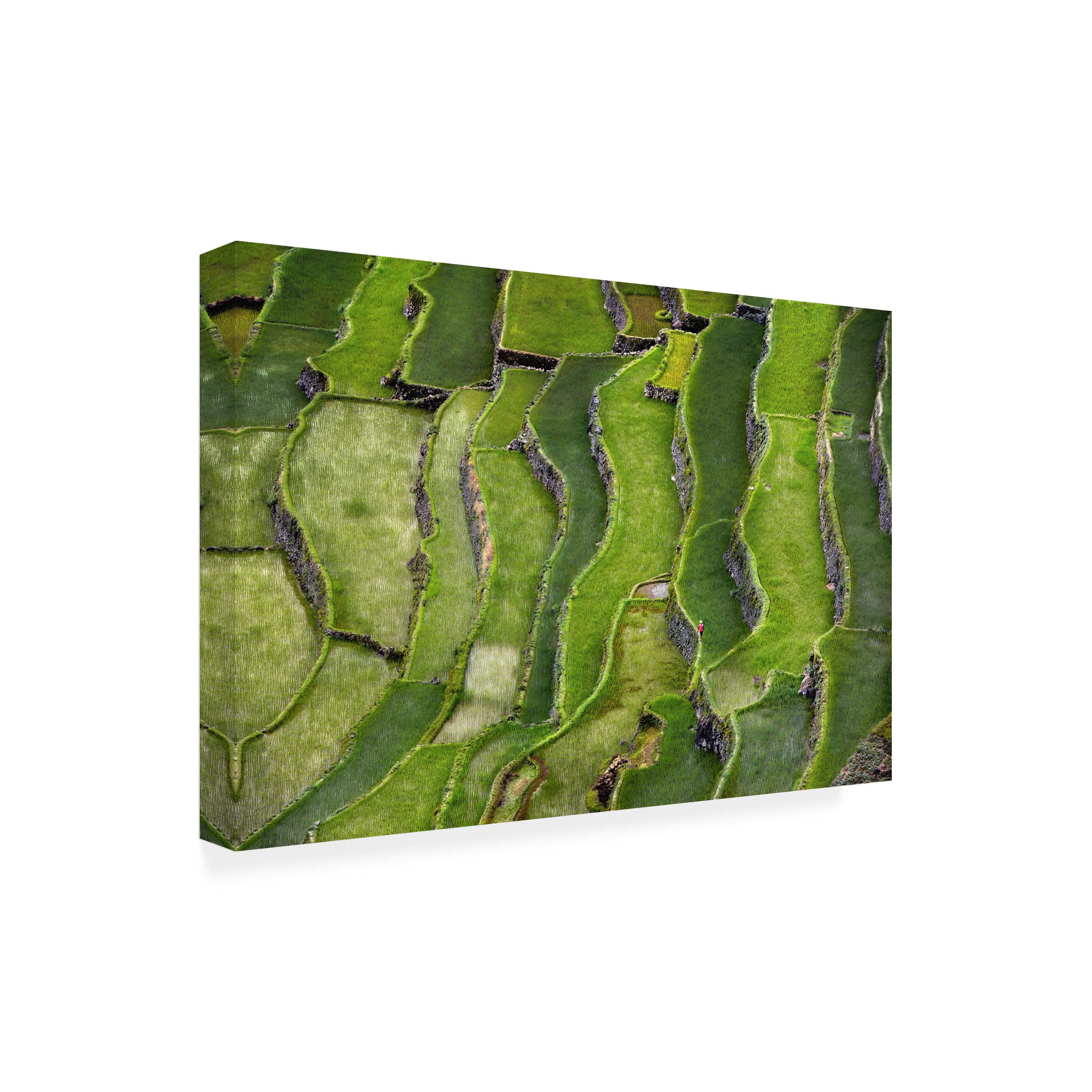 Trademark Fine Art 'Terrace Walking' Canvas Wall Art Print by Izidor Gasperlin - Modern Home Decor for Living Room, Bedroom & Office