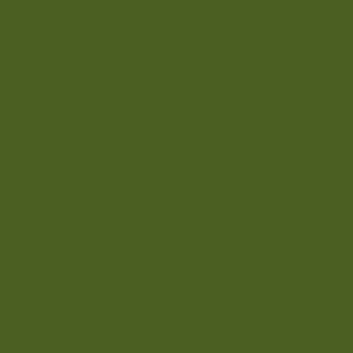 1 Pair-olive