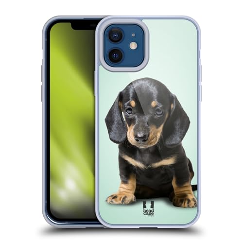 Sitting Dachshund Puppy