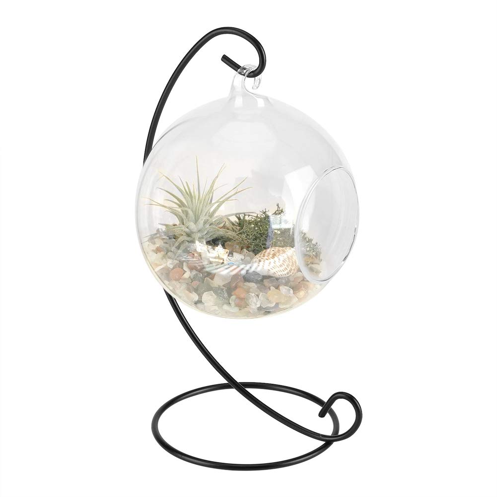 Greensen Round Glass Hanging Terrarium Kit with Stand - Air Plant & Succulent Display Vase for Home Decor | Perfect for Living Room, Office, and Wedding Centerpieces