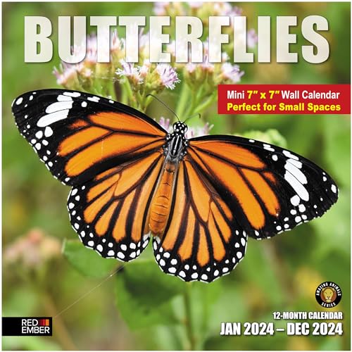 02 - Butterflies